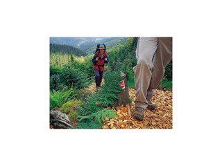 Vakantiehuis Willingen Omgeving 36