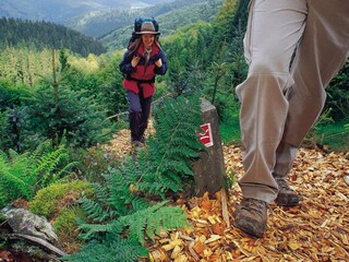 Maison de vacances Willingen Environnement 37