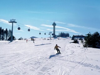 Casa per le vacanze Willingen Ambiente 38