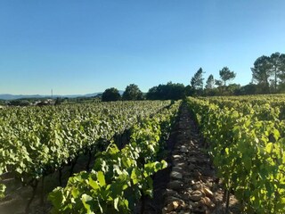 Casa per le vacanze Payzac (Ardèche) Ambiente 36