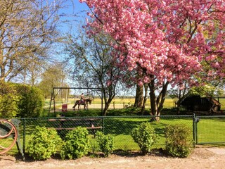 Ferienhaus Donkerbroek Umgebung 33