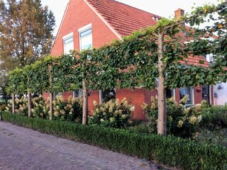 Casa per le vacanze Donkerbroek Ambiente 29
