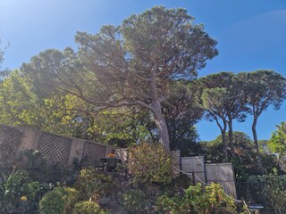 Villa Sainte-Maxime Grabación al aire libre 12