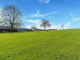 Vakantiehuis Vresse-sur-Semois Omgeving 25