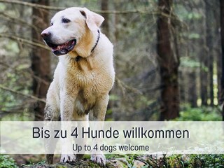 Casa per le vacanze Alpirsbach Registrazione all'aperto 3