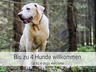 Holiday house Alpirsbach Outdoor Recording 4