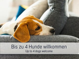 Casa per le vacanze Alpirsbach Registrazione all'aperto 3