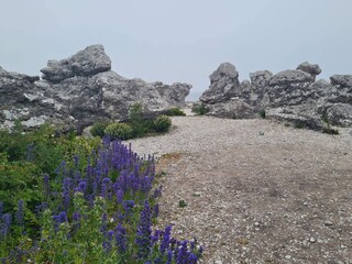 Ferienhaus Katthammarsvik  18