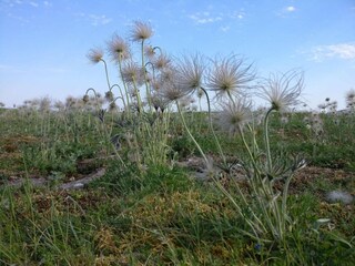 Ferienhaus Katthammarsvik  19