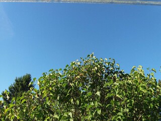 Vakantiehuis Katthammarsvik  20