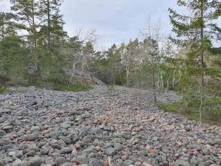 Vakantiehuis Grisslehamn  13