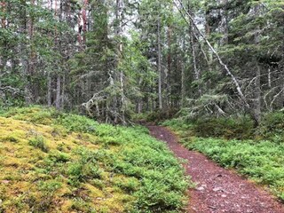 Ferienhaus Grisslehamn  24