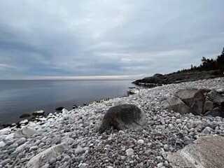 Vakantiehuis Grisslehamn  15