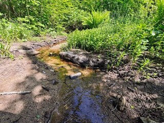 Vakantiehuis Grisslehamn  30