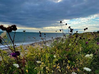 Vakantiehuis Martofte  16