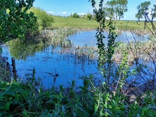 Ferienhaus Martofte  50