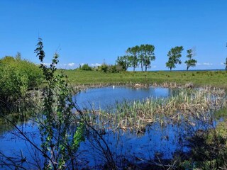 Maison de vacances Martofte  11