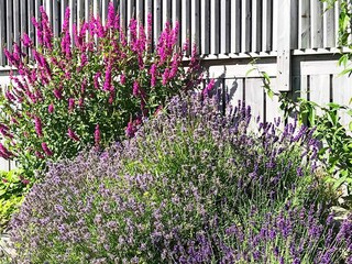 Vakantiehuis Welt  15