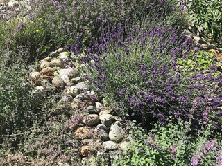 Vakantiehuis Welt  40