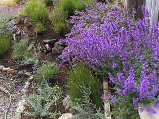 Vakantiehuis Welt  37