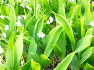 Vakantiehuis Welt  15