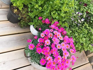 Vakantiehuis Welt  16