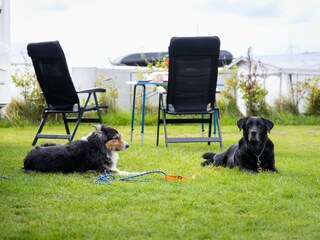 Chalet Westerland (Wieringen) Ambiente 12