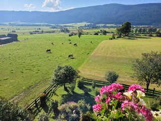 Agriturismo biologico Mariapfarr Ambiente 8