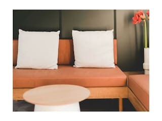 Chalet Westerland (Wieringen) Features 8