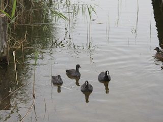 Apartamento de vacaciones Priepert Entorno 20