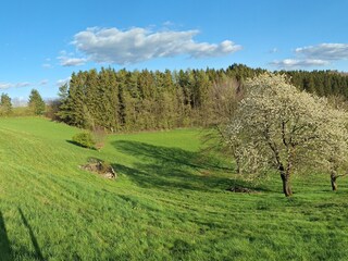 Appartamento per vacanze Habscheid Ambiente 21