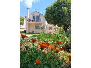 Appartamento per vacanze Vodnjan Registrazione all'aperto 4