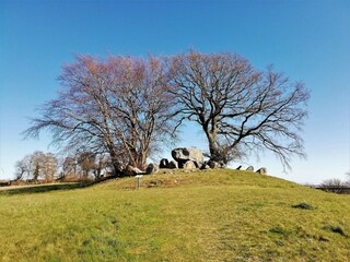 Vakantiehuis Vordingborg  15
