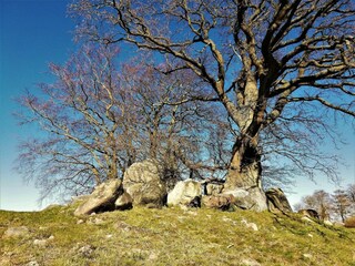 Casa per le vacanze Vordingborg  29