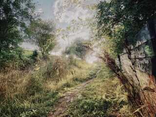 Holiday house Stockholm  30