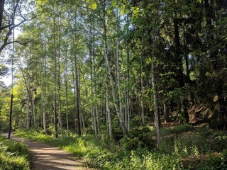 Vakantiehuis Stockholm  25