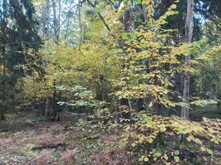 Ferienhaus Stockholm  8