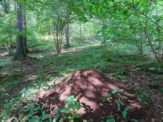 Vakantiehuis Stockholm  34