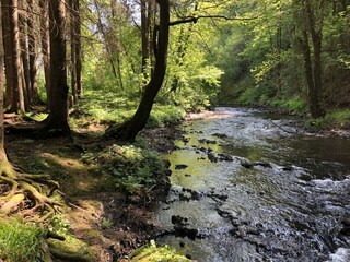 Maison de vacances Mützenich Enregistrement extérieur 3