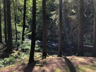 Ferienhaus Mützenich Außenaufnahme 7