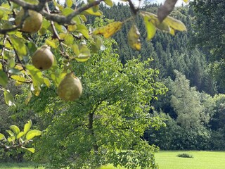 Casa de vacaciones Mützenich  37