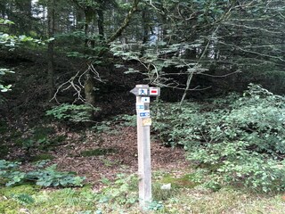 Casa de vacaciones Mützenich Entorno 36