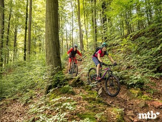 Casa per le vacanze Mützenich Ambiente 31