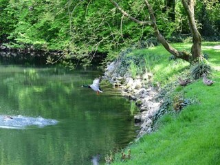 Type de propriété : Chalet Busseto Environnement 21