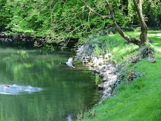 Vakantiehuisje Busseto Omgeving 20