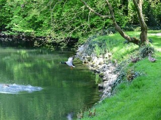 Cottage Busseto Environment 25