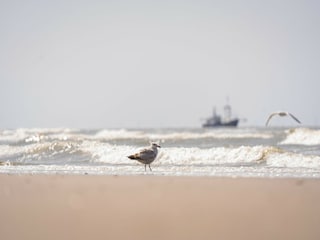 Ferienpark Wijk aan Zee Umgebung 24