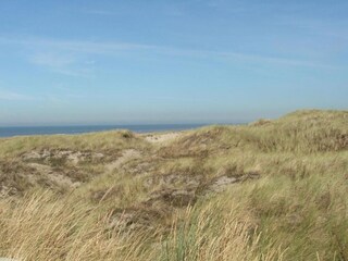 Parco vacanze Wijk aan Zee Ambiente 35