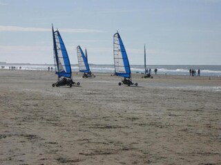 Parc de vacances Wijk aan Zee Environnement 37