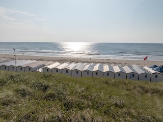 Parc de vacances Wijk aan Zee Environnement 32